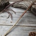 Wand - Bush Root 14 1/2