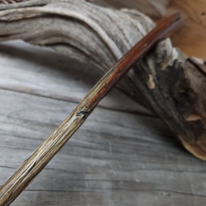 Wand - Bush Root 13 3/4