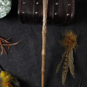 May include: A wooden wand with a textured surface, positioned vertically. The wand is surrounded by decorative feathers, a small leather chest with metal studs, and a bowl of clear glass beads. The items are arranged on a dark, textured background.