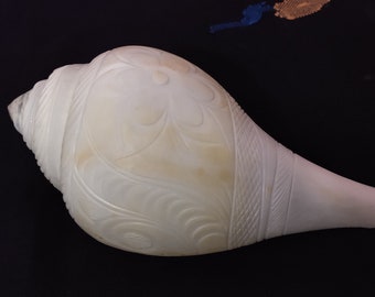 Sankh Handmade Design Conch Shell/ Non Blowing Sankh/ Conch Shell