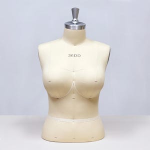 May include: A beige dress form with a metal neck and a waist band. The dress form is labeled "36DD" on the chest. The form is designed to simulate a woman's torso for clothing design and display.
