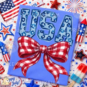 Patriotic USA Bow Png