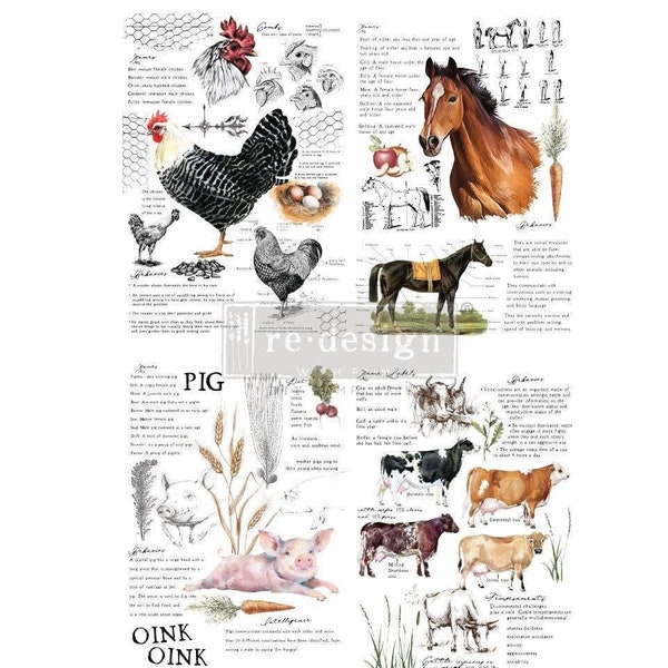 Farm Life Transfer | 2 sheets, 24 x 35” | Limited Supply | Redesign with Prima