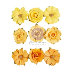 In volle bloei-collectie: warme zon | Primabloemen | Pak: 9 stuks| Lente24 | Prima, Inc.