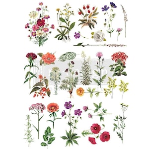 Floral Kollektion Dekor | Misst 24 “x 35” | Neugestaltung mit Prima