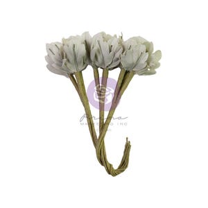 Timeless Tales - Fleurs Prima | Collection Perdu au pays des merveilles | 9 pièces | Conte de 3 filles | Prima, Marketing, Inc.