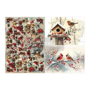 May include: A decorative paper sheet featuring a collage of red cardinals, poinsettias, pinecones, and holly on the left, and a snowy scene with a wooden birdhouse and two birds perched on berry-laden branches on the right side.