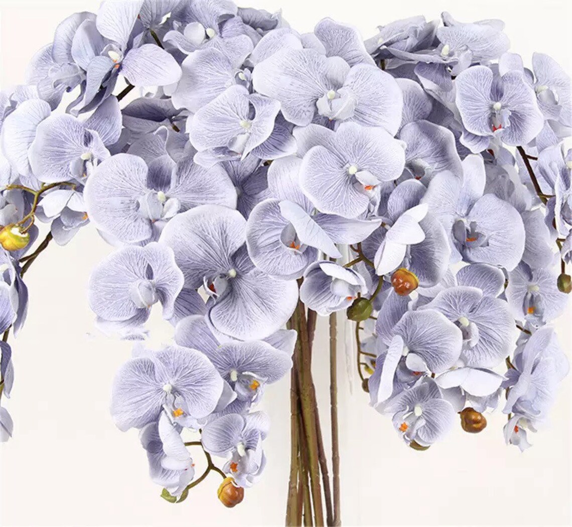 95cm Artificial Silk Phalaenopsis Orchid Stem Single Stem Etsy
