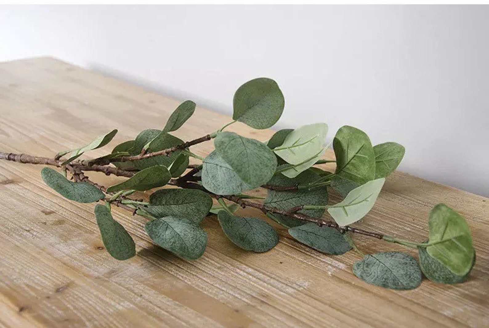 65cm Artificial Eucalyptus Stem Eucalyptus Leaves Single Etsy