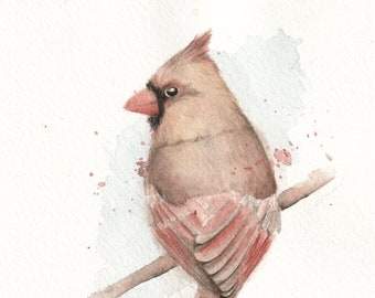 5x7 Watercolor Female Cardinal