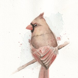 5x7 Watercolor Female Cardinal