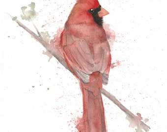 Watercolor Male Cardinal