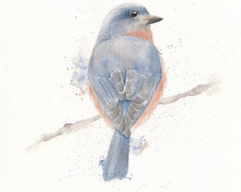 Watercolor Bluebird
