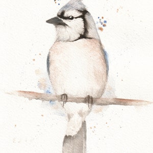 5x7 Watercolor Bluejay image 1