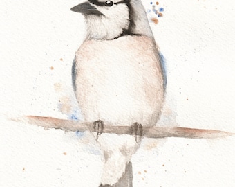 5x7 Watercolor Bluejay