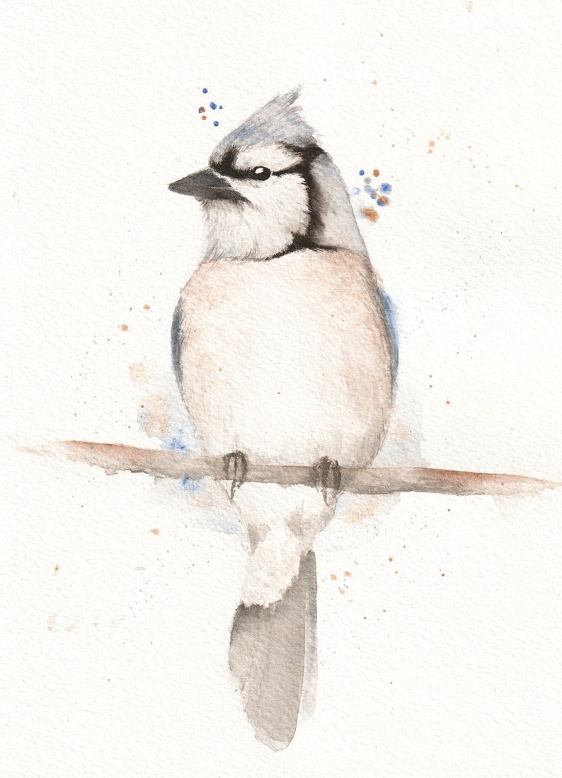 5x7 Watercolor Bluejay image 1