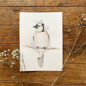 5x7 Watercolor Bluejay image 2