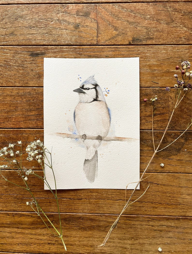 5x7 Watercolor Bluejay image 2