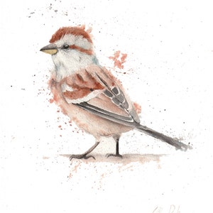 Watercolor tree sparrow