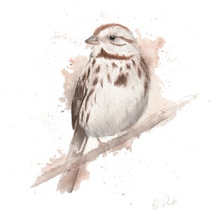 Watercolor Song Sparrow