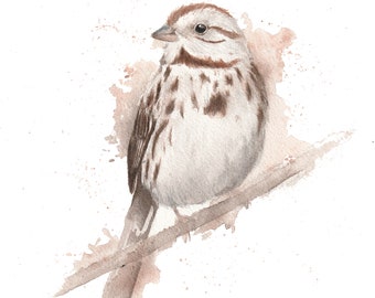 Watercolor Song Sparrow