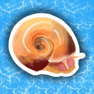 Ramshorn Slak - Glanzende Matrijs Gesneden Sticker