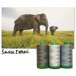 Puede incluir: Dos elefantes de Sumatra, uno grande y otro pequeño, de pie en un campo de hierba verde alta. El elefante más grande está mirando hacia la cámara, mientras que el elefante más pequeño está mirando hacia atrás. El texto "Sumatran Elephant." está escrito en tinta negra debajo de la imagen.