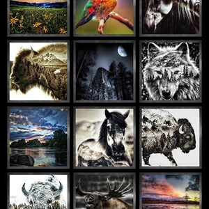 Könnte beinhalten: Eine Collage aus neun Bildern mit verschiedenen Tieren und Landschaften. Die obere Reihe zeigt einen Kolibri, ein weißes Pferd und einen Sonnenuntergang über einem Feld. Die mittlere Reihe zeigt einen Bison, eine Waldszene und einen Wolf. Die untere Reihe zeigt ein Pferd, einen Bison und einen Elch.
