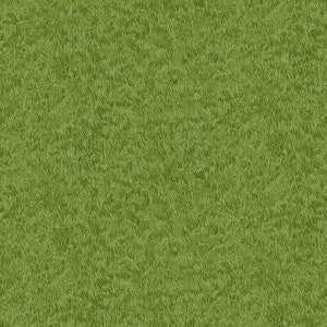 Op de afbeelding: Een effen groene textuur achtergrond.