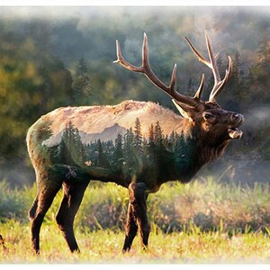 Call of the wild panel by Hoffman fabrics