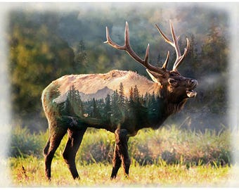 Call of the wild panel by Hoffman fabrics