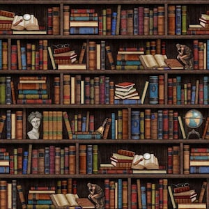 Può includere: Un'illustrazione dettagliata di una libreria piena di vari libri antichi. I libri sono di diverse dimensioni e colori, alcuni aperti per mostrare le loro pagine. Sono visibili anche un busto, un mappamondo e una statua.