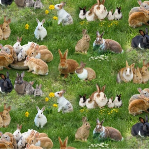 May include: A vibrant image featuring a repeating pattern of various rabbits in a grassy field. The rabbits display a range of colors, including brown, white, black, and gray, with some surrounded by yellow flowers. The scene evokes a sense of springtime and nature.
