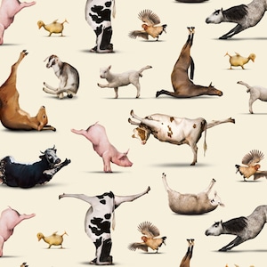 YOGA is for everyone, animal poses CREAM