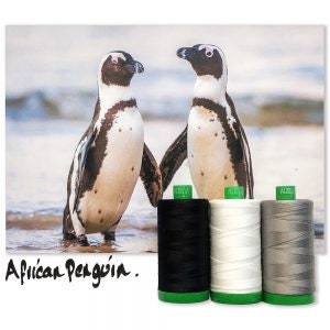 Puede incluir: Dos pingüinos africanos de pie en una playa de arena con olas de fondo. Los pingüinos se miran y parecen estar sujetándose las alas. Hay tres carretes de hilo en primer plano, uno negro, uno blanco y uno gris.