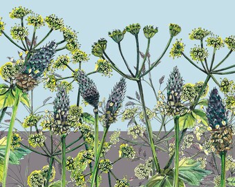 botanical giclee print with hedgerow flowers