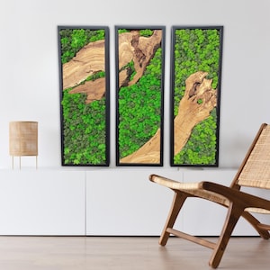 Triptych Moss and Walnut Wood Wall Art – Handcrafted Minimalist Panel for Eco Modern Interiors – Natural Statement Piece Gift