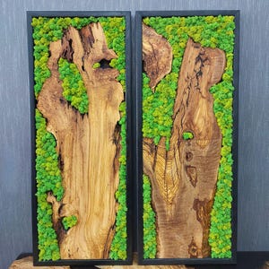 Arte murale in legno e muschio, design foresta naturale, decorazione murale rustica, decorazione per ufficio in casa, idea regalo, decorazione murale in muschio