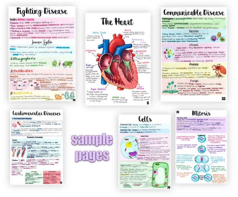 Updated 9 1 Biology Combined Science Gcse Paper 1 Revision Sheets - www ...