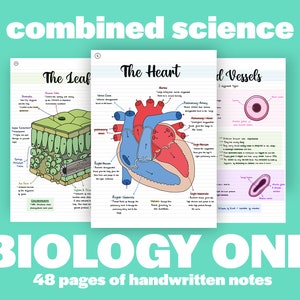 AQA GCSE (9-1) Combined Science Revision Notes: Biology One | Versionshinweise | Digitale Notizen