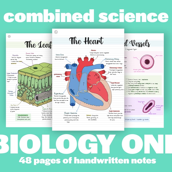 AQA GCSE (9-1) Combined Science Revision Notes: Biology One | Versionshinweise | Digitale Notizen