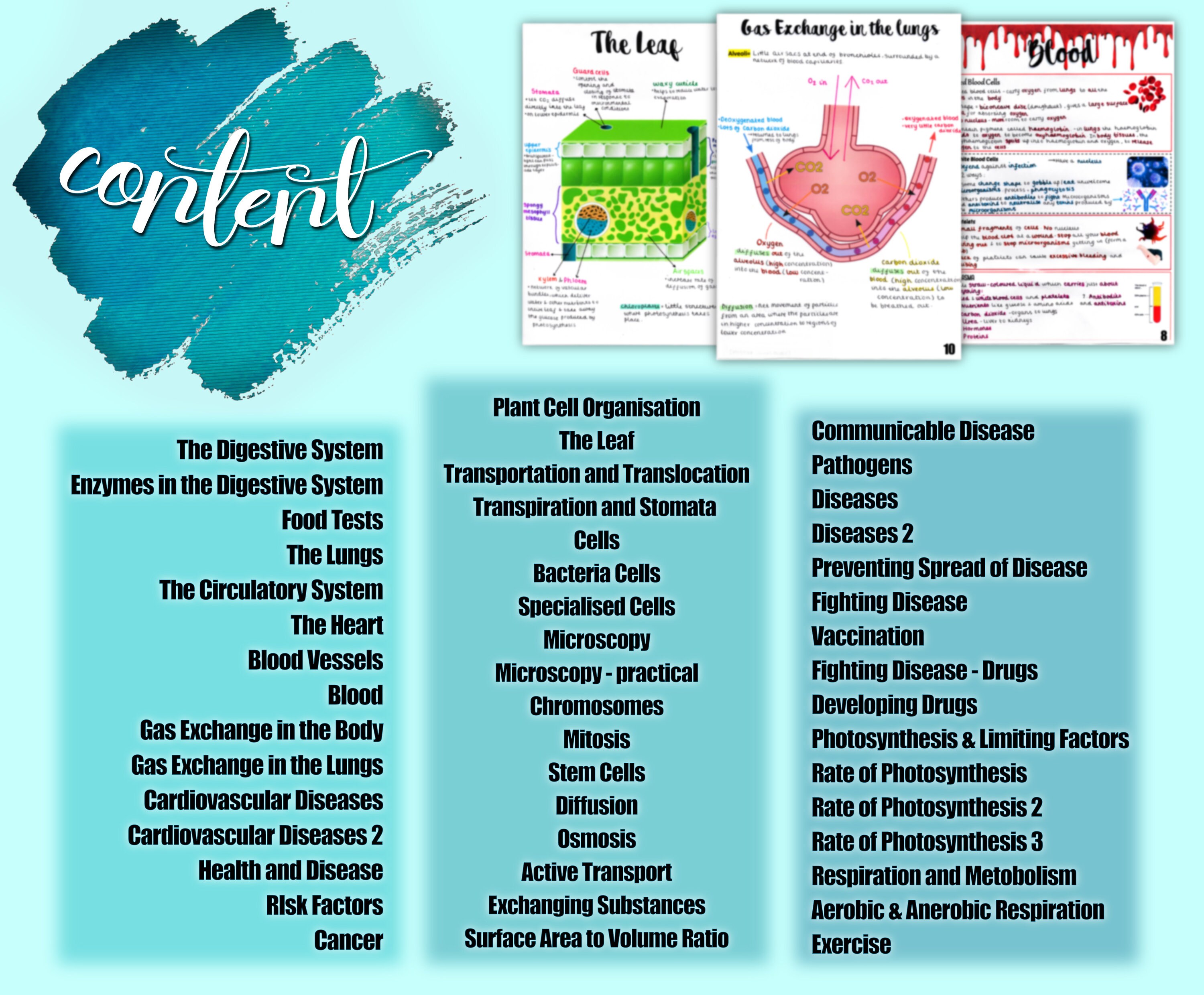 AQA GCSE (9-1) Combined Science Revision Notes : Biology One - Etsy