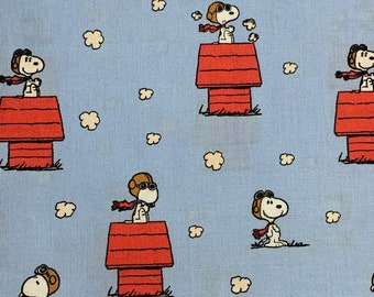 Snoopy Dog House Etsy