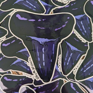 Megalodon-tandsticker