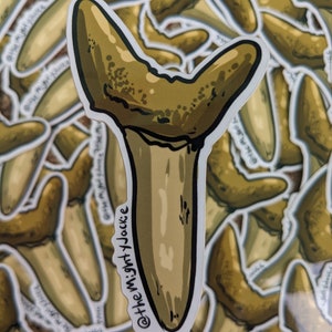 Adesivo de dente de tubarão de areia