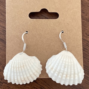 May include: A pair of white seashell earrings with silver-colored hooks. The earrings are attached to a brown cardboard display card with a hole for hanging. The seashells have a textured surface.