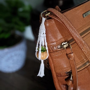May include: A small potted plant with green leaves hangs from a white macrame plant hanger attached to a brown leather purse with a gold zipper.