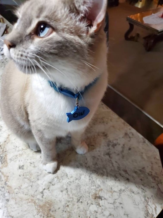 Fish Shaped Cat Id Tag Etsy