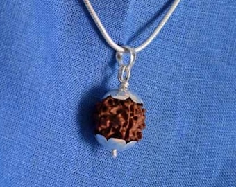 Rudraksha Pendant- Natural and Certified Nepal Five, 5 Mukhi/ Face Rudraksha Pendant in 925 Sterling Silver
