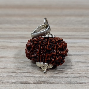 100% Natural & Certified Nepal 10 Mukhi/ Ten Face Rudraksha Pendant in 925 Sterling Silver, Prayer Beads For Astrology